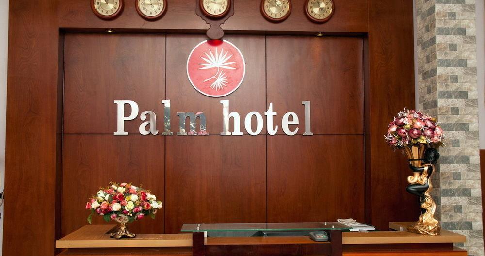 Palm 2*